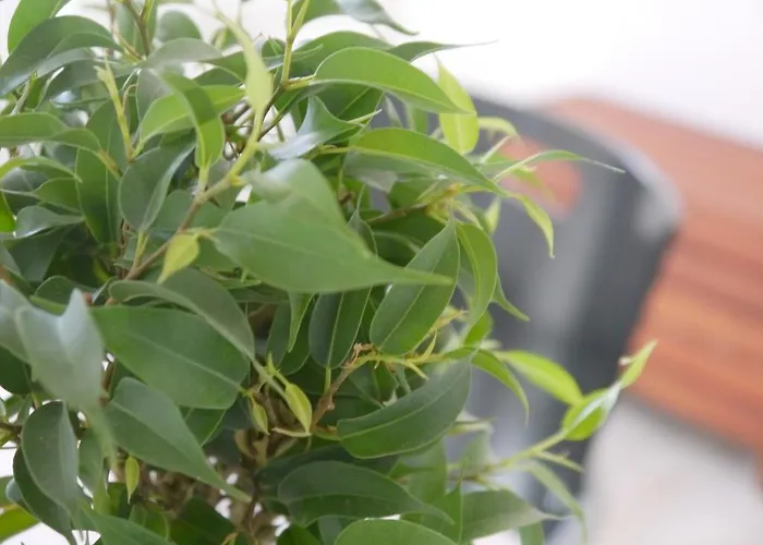 Break And Bed Perugia