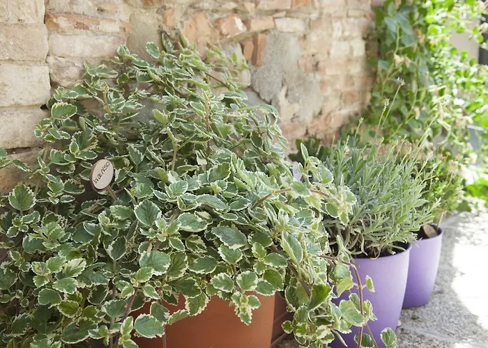 Break And Bed Perugia